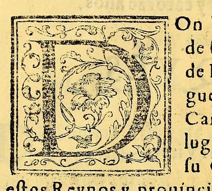 An illustration from Constituciones synodales del Arçobispado de los Reyes en el Piru. Hechas y ordenadas por el illustrissimo y reverendissimo señor don Bartholome Lobo Guerrero arçobispo de la dicha ciudad de los Reyes del Consejo de su Magestad. Y publicadas en la synodo diocesana que su señoria illustrissima celebro en la dicha ciudad en el año del Señor de 1613., 1614, leaf 205