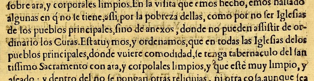 An illustration from Constituciones synodales del Ar{u0063}obispado de los Reyes en el Piru. Hechas, y ordenadas por el ilustrissimo, y reuerendissimo señor doctor don Fernando Arias de Vgarte arcobispo desta ciudad de los Reyes, del consejo de su Magestad. Publicadas en la synodo diocesana que su señoria ilustrissima celebró en la dicha ciudad en el año del señor de 1636., 1637, leaf 29