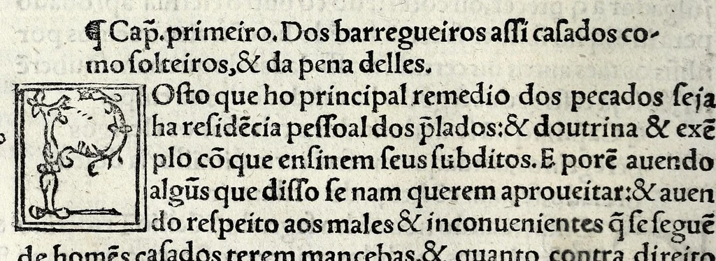 An illustration from Constituições do arcebispado Deuora : nouamente feitas por mandado do illustrissimo e reuerendissimo señor dom Ioam de Mello, arcebispo do dito arcebispado, &c, 1565, leaf 166