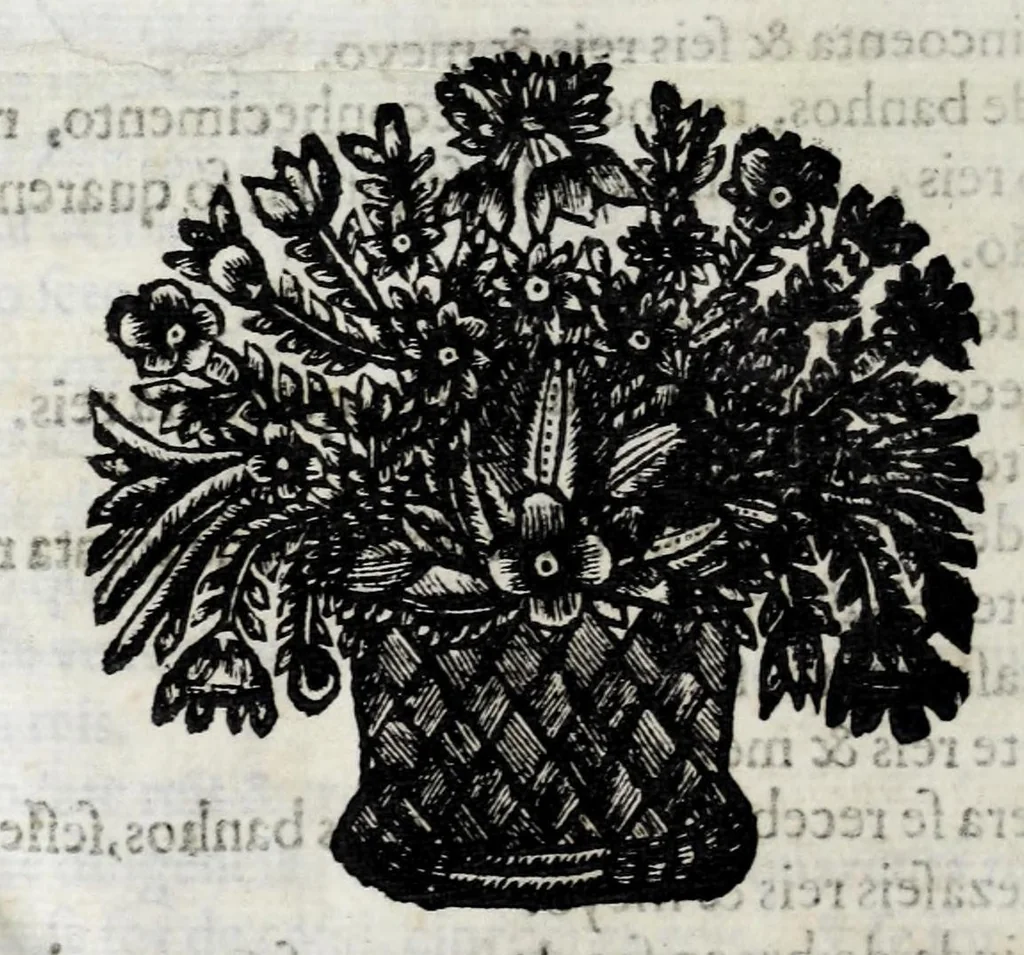An illustration from Constituiçoẽs synodaes do bispado do Porto, 1690, leaf 1160