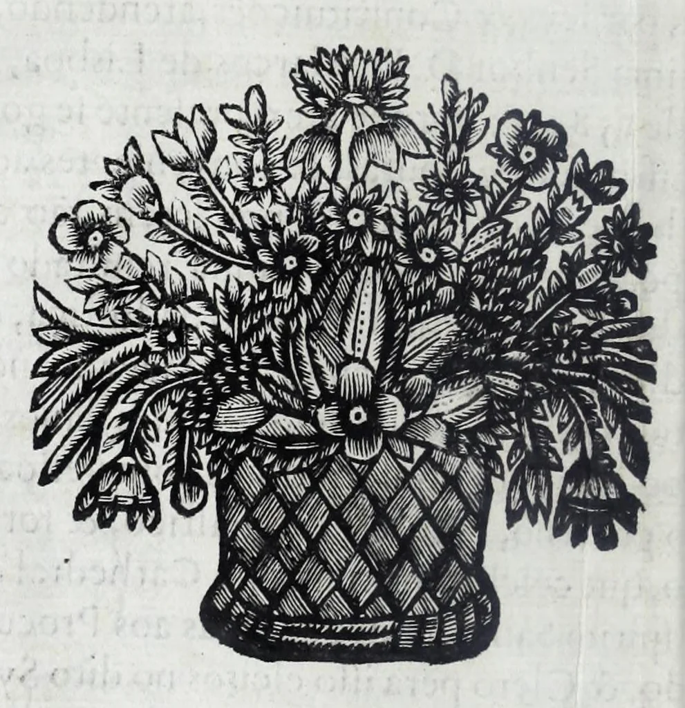 An illustration from Constituiçoẽs synodaes do bispado do Porto, 1690, leaf 12