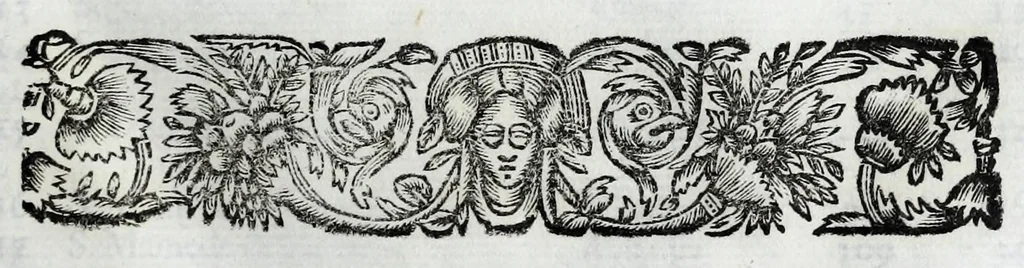 An illustration from Constituiçoẽs synodaes do bispado do Porto, 1690, leaf 931