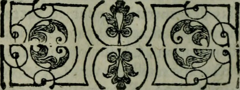 An illustration from Constitutions et instructions synodales de S. François de Sales ; mises en ordre, & augmentées par Iean d'Aranton d'Olex, 1668, leaf 245
