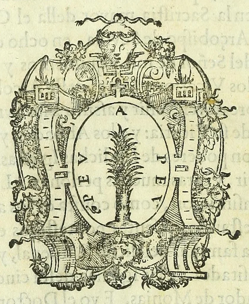 An illustration from Constitvciones, compiladas, hechas y ordenadas por Rodrigo de Castro, 1591, leaf 164