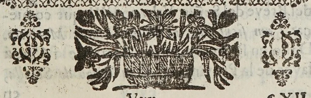 An illustration from Constitvciones de la Provincia de San Diego de México de los Menores Descalços de la mas estrecha observancia regular de N.S.P.S. Francisco en esta Nueva-España, 1698, leaf 519