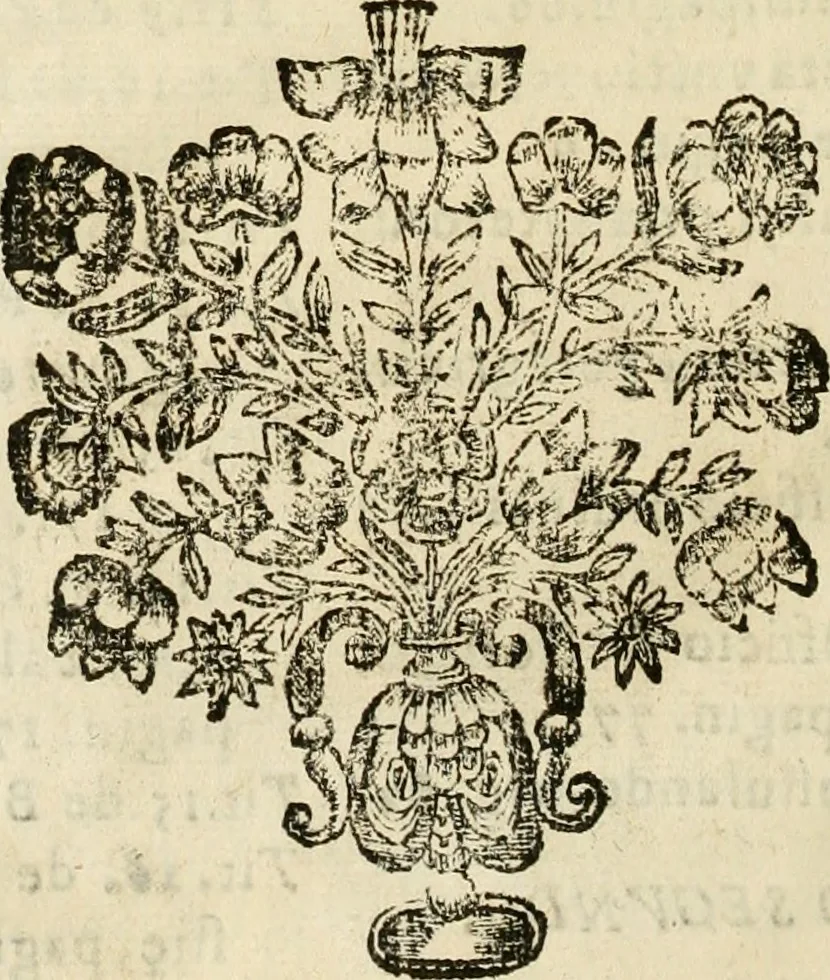 An illustration from Constitvciones synodales del obispado de Salamanca. Copiladas, hechas, y promulgadas por Pedro Carrillo de Acuña, en la Synodo, que se celebro en su Iglesia Cathedral de la dicha ciudad, el mes de abril de 1654, 1656, leaf 13