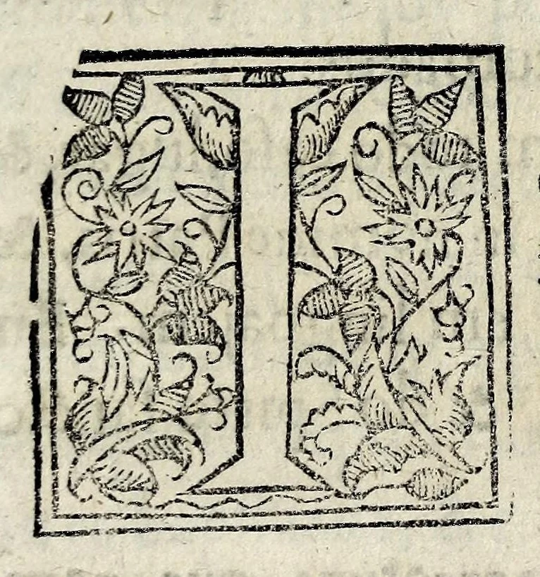 An illustration from Constitvicōes do arcebispado de Lisboa : assi as antigas como as extrauagantes primeyras & segundas, 1588, leaf 11