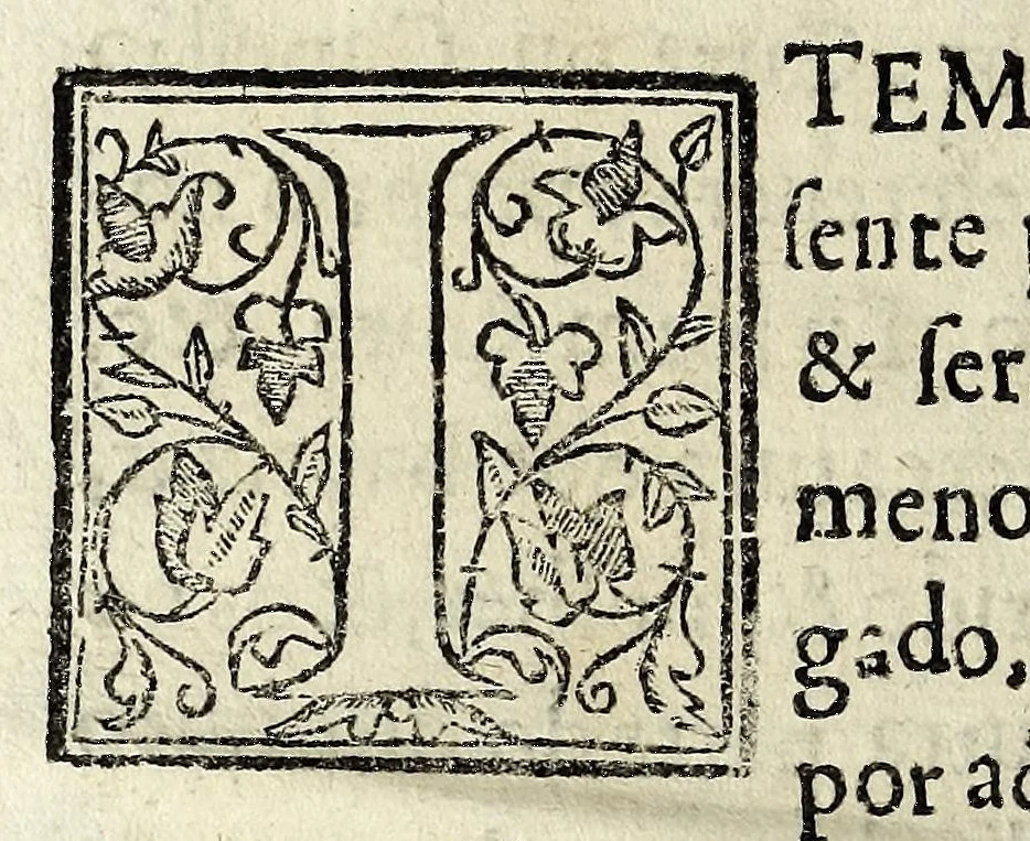 An illustration from Constitvicōes do arcebispado de Lisboa : assi as antigas como as extrauagantes primeyras & segundas, 1588, leaf 16