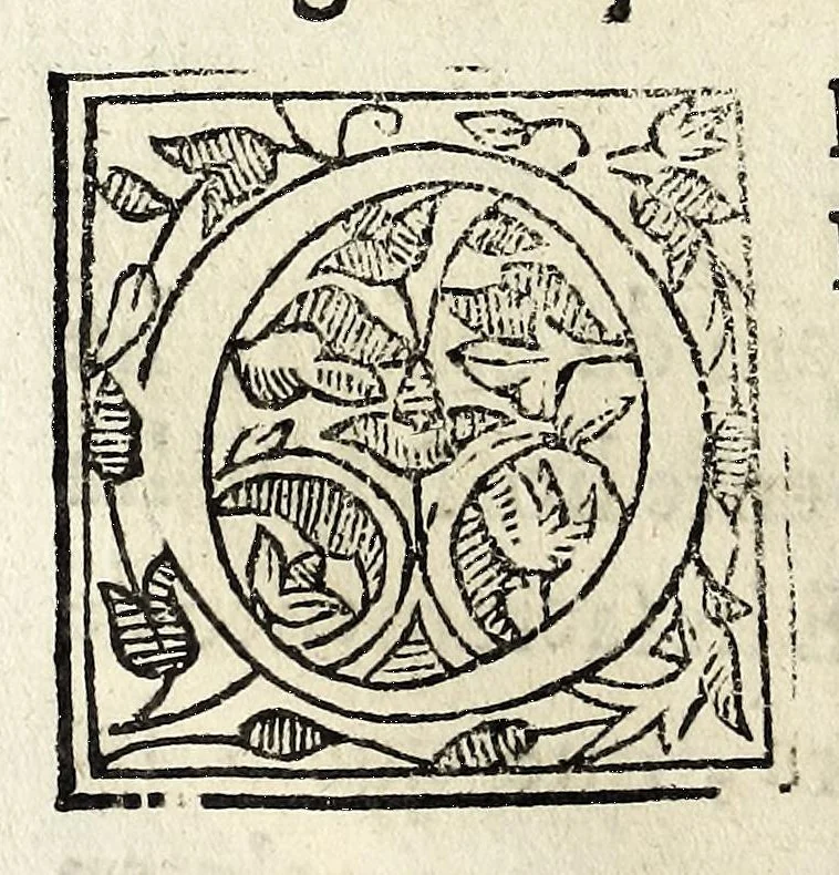 An illustration from Constitvicōes do arcebispado de Lisboa : assi as antigas como as extrauagantes primeyras & segundas, 1588, leaf 16