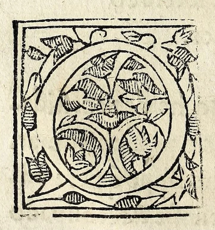 An illustration from Constitvicōes do arcebispado de Lisboa : assi as antigas como as extrauagantes primeyras & segundas, 1588, leaf 18
