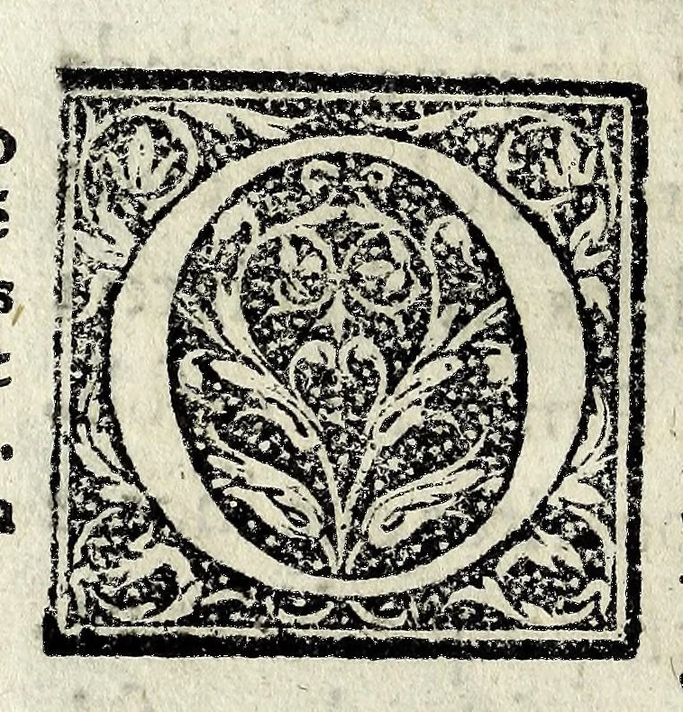 An illustration from Constitvicōes do arcebispado de Lisboa : assi as antigas como as extrauagantes primeyras & segundas, 1588, leaf 36