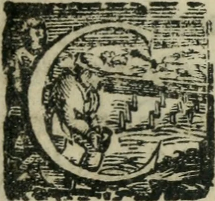 An illustration from Constitvtiones insignis, et cillegiatae ecclesiae Sancti Lavrentii Florent, 1617, leaf 102