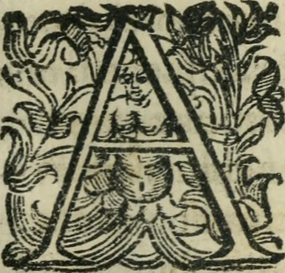 An illustration from Constitvtiones insignis, et cillegiatae ecclesiae Sancti Lavrentii Florent, 1617, leaf 106