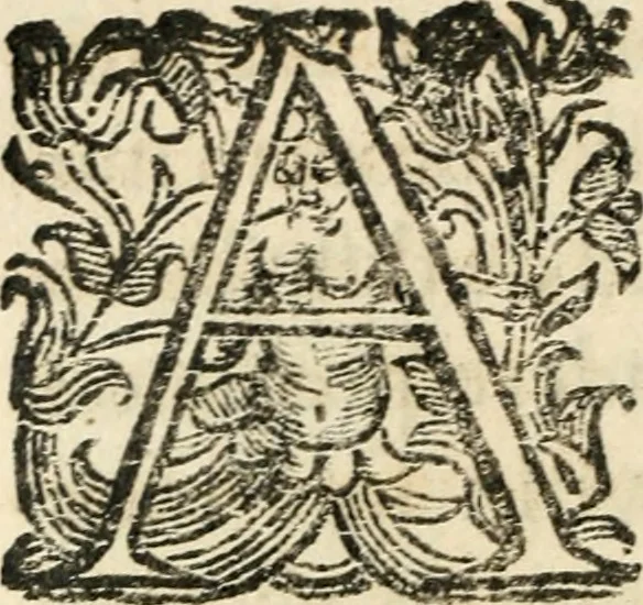 An illustration from Constitvtiones insignis, et cillegiatae ecclesiae Sancti Lavrentii Florent, 1617, leaf 113