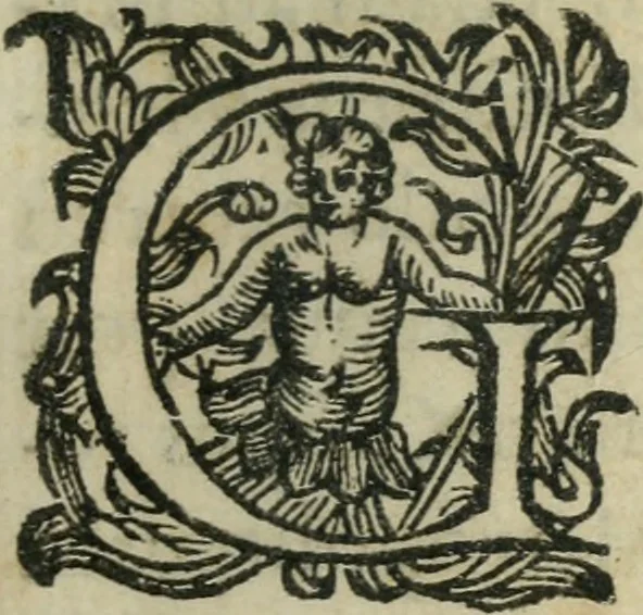 An illustration from Constitvtiones insignis, et cillegiatae ecclesiae Sancti Lavrentii Florent, 1617, leaf 14