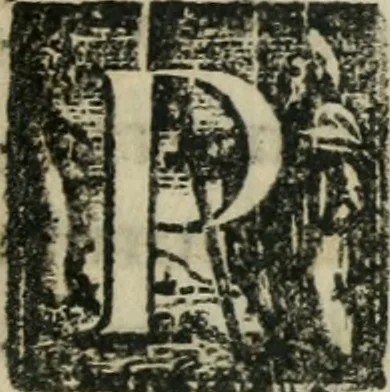An illustration from Constitvtiones insignis, et cillegiatae ecclesiae Sancti Lavrentii Florent, 1617, leaf 140