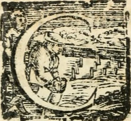An illustration from Constitvtiones insignis, et cillegiatae ecclesiae Sancti Lavrentii Florent, 1617, leaf 147