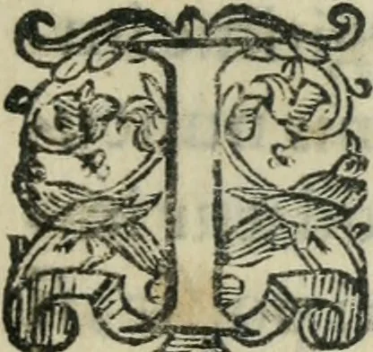 An illustration from Constitvtiones insignis, et cillegiatae ecclesiae Sancti Lavrentii Florent, 1617, leaf 164