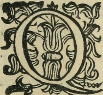 An illustration from Constitvtiones insignis, et cillegiatae ecclesiae Sancti Lavrentii Florent, 1617, leaf 172