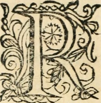 An illustration from Constitvtiones insignis, et cillegiatae ecclesiae Sancti Lavrentii Florent, 1617, leaf 191