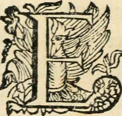An illustration from Constitvtiones insignis, et cillegiatae ecclesiae Sancti Lavrentii Florent, 1617, leaf 195
