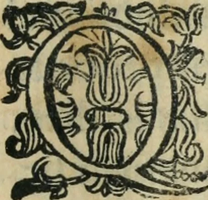 An illustration from Constitvtiones insignis, et cillegiatae ecclesiae Sancti Lavrentii Florent, 1617, leaf 196