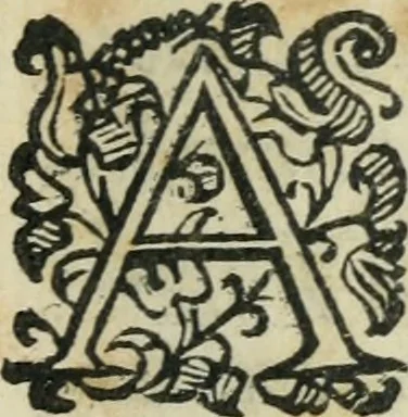 An illustration from Constitvtiones insignis, et cillegiatae ecclesiae Sancti Lavrentii Florent, 1617, leaf 202