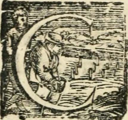 An illustration from Constitvtiones insignis, et cillegiatae ecclesiae Sancti Lavrentii Florent, 1617, leaf 43
