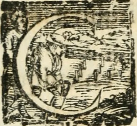 An illustration from Constitvtiones insignis, et cillegiatae ecclesiae Sancti Lavrentii Florent, 1617, leaf 53