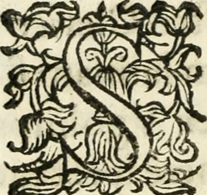 An illustration from Constitvtiones insignis, et cillegiatae ecclesiae Sancti Lavrentii Florent, 1617, leaf 65