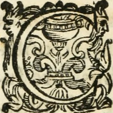 An illustration from Constitvtiones insignis, et cillegiatae ecclesiae Sancti Lavrentii Florent, 1617, leaf 69