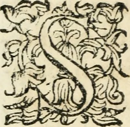 An illustration from Constitvtiones insignis, et cillegiatae ecclesiae Sancti Lavrentii Florent, 1617, leaf 81
