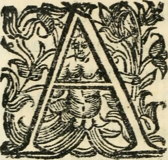 An illustration from Constitvtiones insignis, et cillegiatae ecclesiae Sancti Lavrentii Florent, 1617, leaf 93