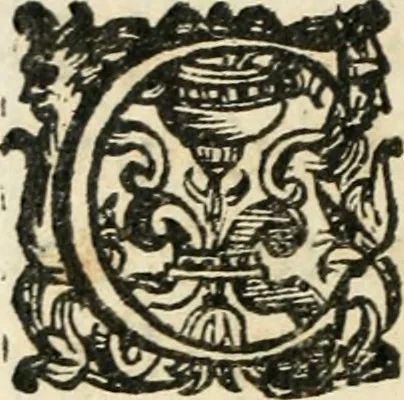 An illustration from Constitvtiones insignis, et cillegiatae ecclesiae Sancti Lavrentii Florent, 1617, leaf 97