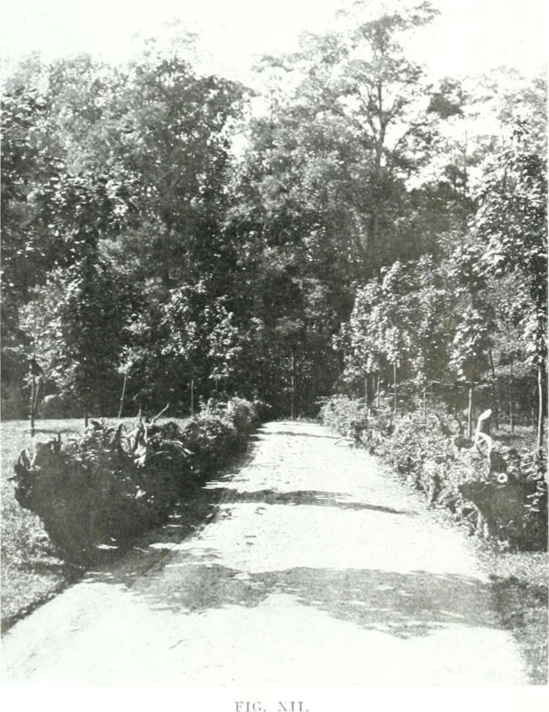 An illustration from Construction : a journal for the architectural engineering and contracting interests of Canada, 1913, leaf 307