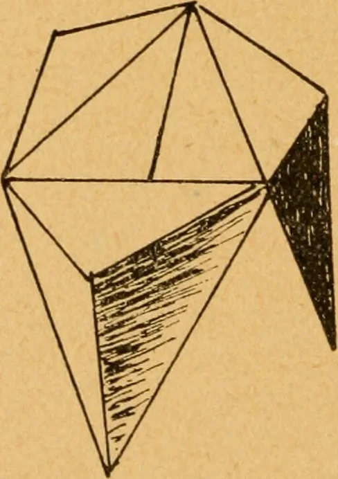 An illustration from Construction work in cardboard and paper for grades I to IV, without the use of tools; with a course in woodwork for the fifth grade, 1900, leaf 103