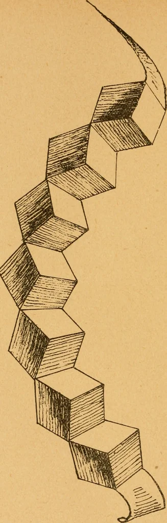An illustration from Construction work in cardboard and paper for grades I to IV, without the use of tools; with a course in woodwork for the fifth grade, 1900, leaf 111
