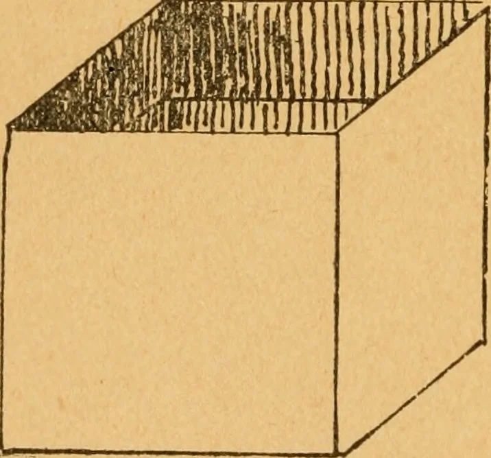 An illustration from Construction work in cardboard and paper for grades I to IV, without the use of tools; with a course in woodwork for the fifth grade, 1900, leaf 115