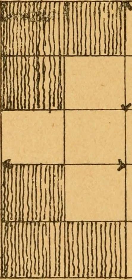 An illustration from Construction work in cardboard and paper for grades I to IV, without the use of tools; with a course in woodwork for the fifth grade, 1900, leaf 115