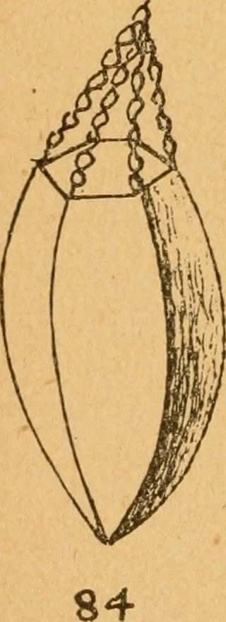 An illustration from Construction work in cardboard and paper for grades I to IV, without the use of tools; with a course in woodwork for the fifth grade, 1900, leaf 127