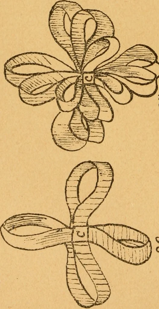 An illustration from Construction work in cardboard and paper for grades I to IV, without the use of tools; with a course in woodwork for the fifth grade, 1900, leaf 35