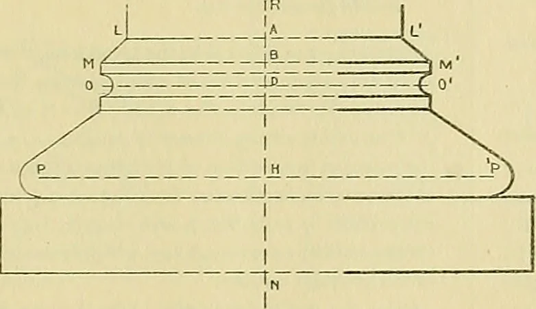 An illustration from Constructive drawing. A text-book for home instruction, high schools, manual training schools, technical schools and universities, 1904, leaf 32