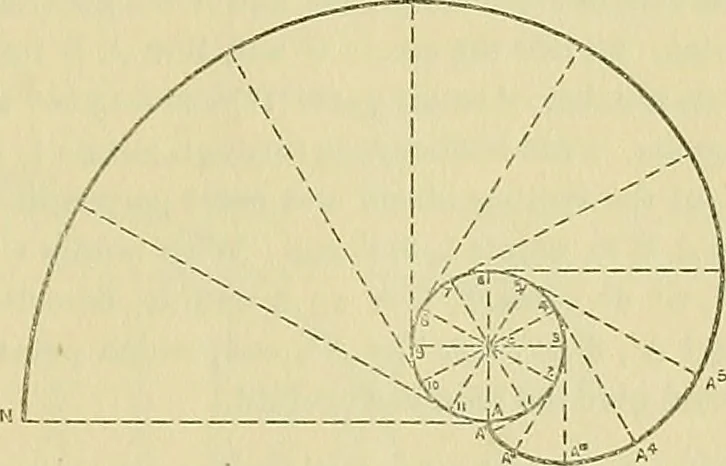 An illustration from Constructive drawing. A text-book for home instruction, high schools, manual training schools, technical schools and universities, 1904, leaf 66