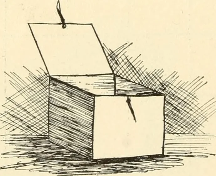 An illustration from Constructive work;, 1905, leaf 113