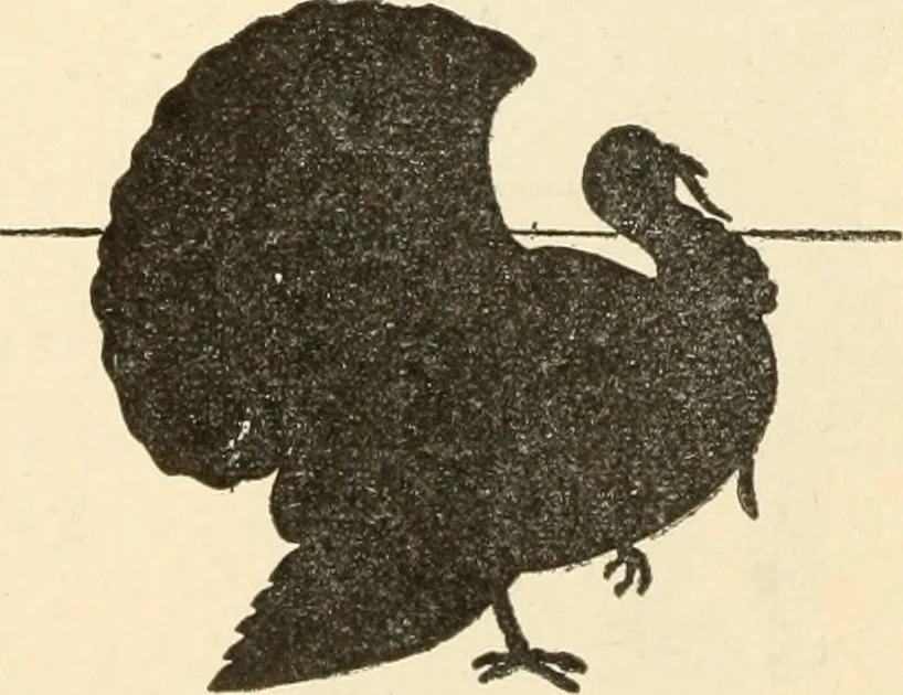 An illustration from Constructive work;, 1905, leaf 161