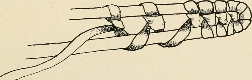 An illustration from Constructive work;, 1905, leaf 190