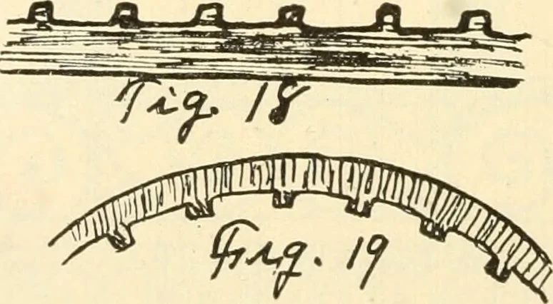 An illustration from Constructive work;, 1905, leaf 231