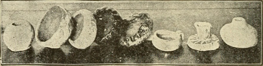 An illustration from Constructive work;, 1905, leaf 235