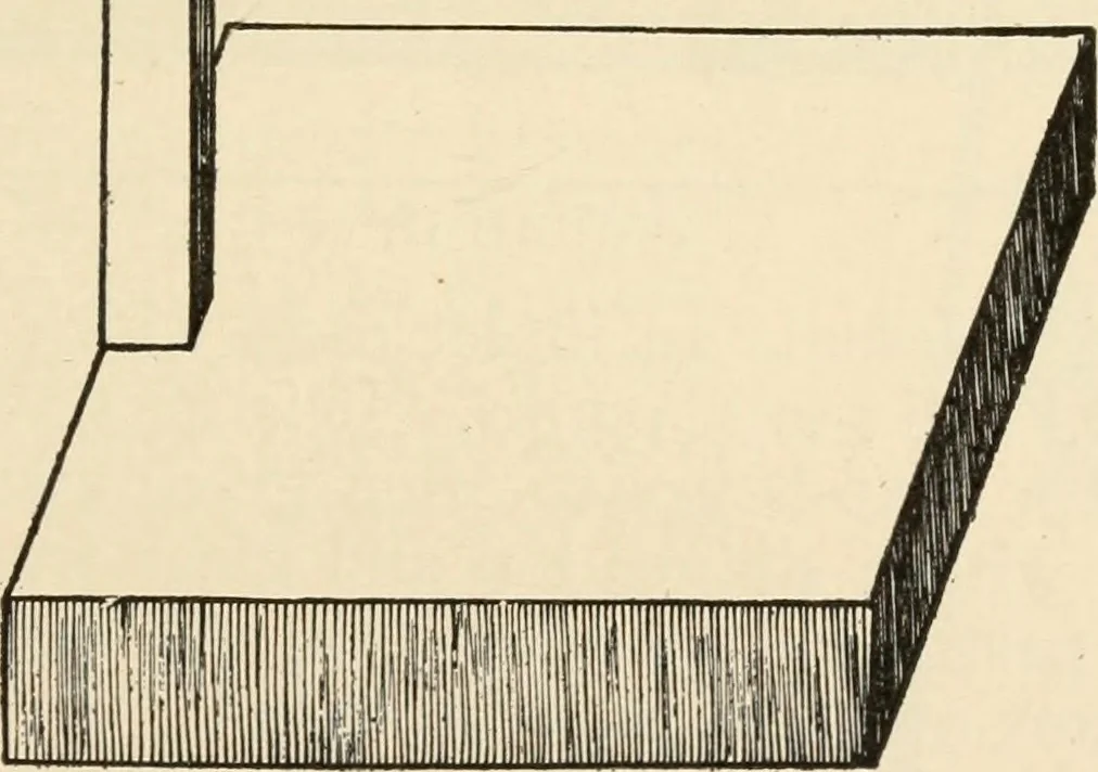 An illustration from Constructive work;, 1905, leaf 248