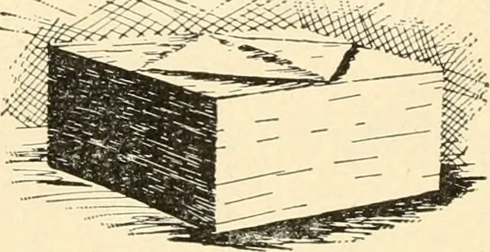 An illustration from Constructive work;, 1905, leaf 25